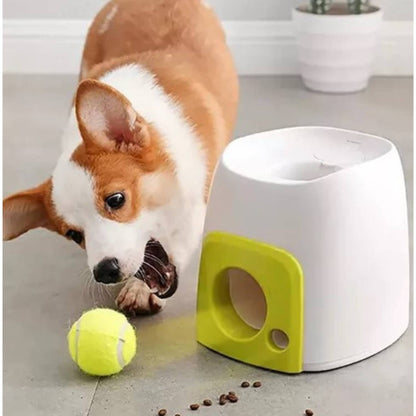 Juego Interactivo para perros