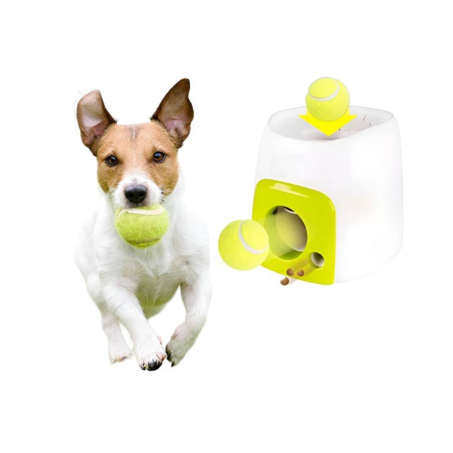 Juego Interactivo para perros